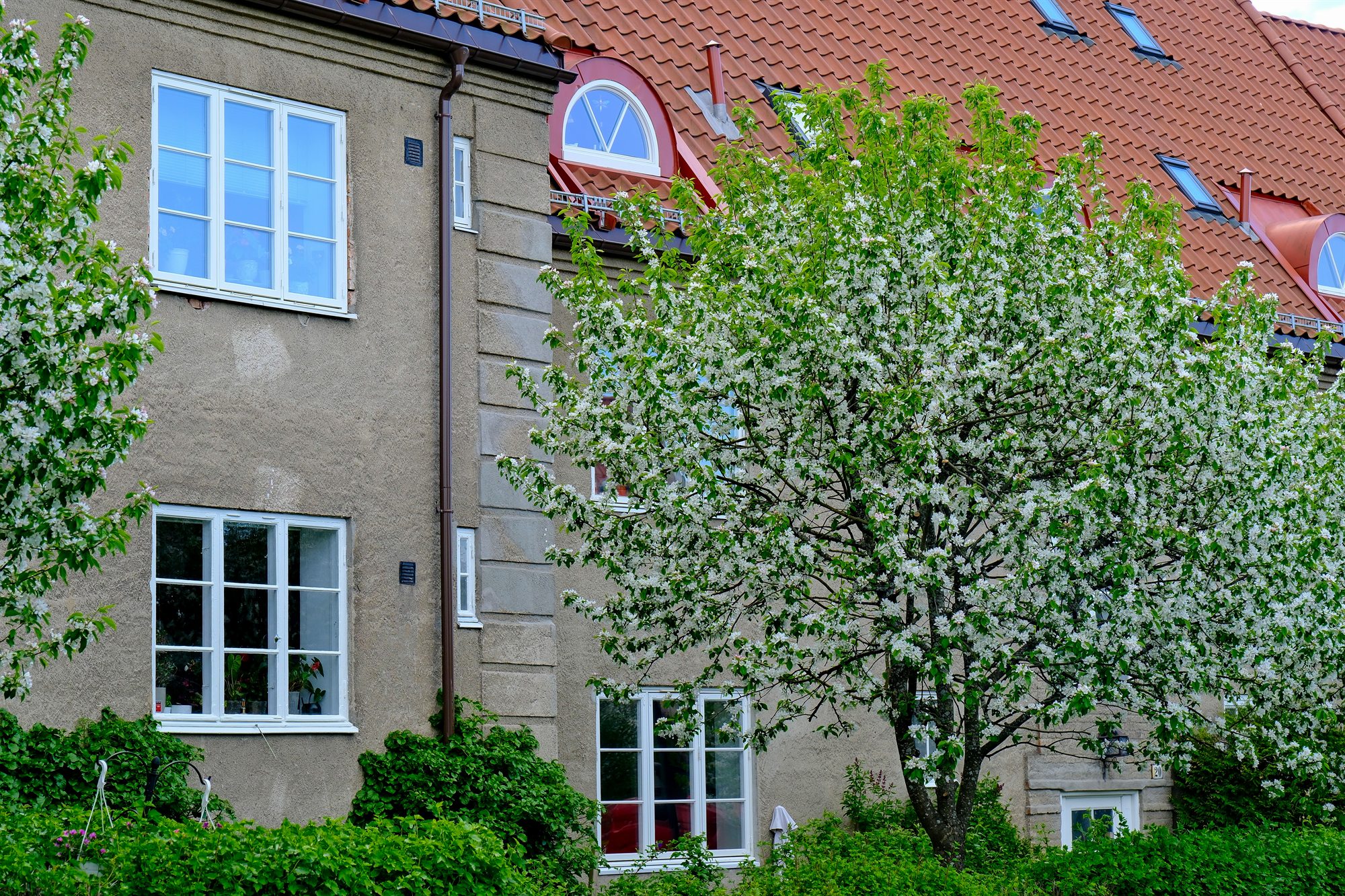 Fasade i Eventyrveien om våren